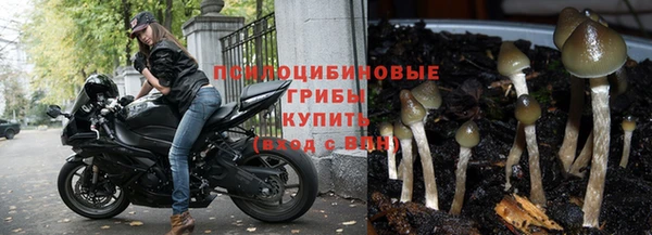 spice Нязепетровск