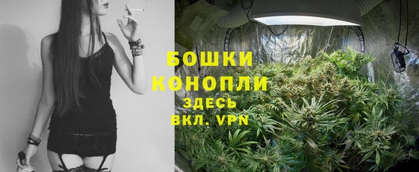 мяу мяу кристалл Няндома