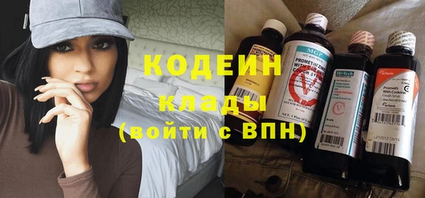 мяу мяу кристалл Няндома