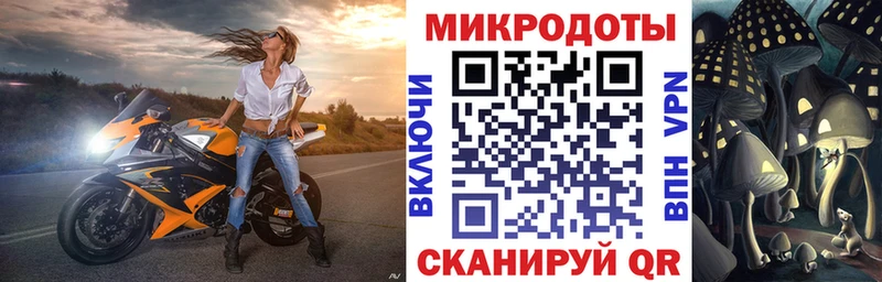 МЕГА как войти  как найти   Кстово  Галлюциногенные грибы Psilocybine cubensis 