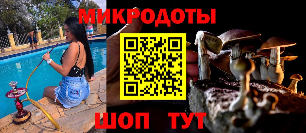 Псилоцибиновые грибы Psilocybe  Псилоцибиновые грибы Magic Shrooms  Кстово  Вход с VPN 