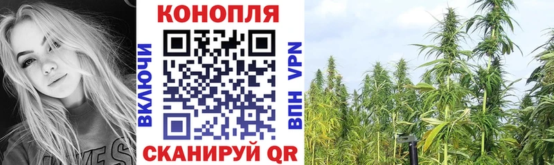 где продают наркотики  Кстово  Канабис сатива 